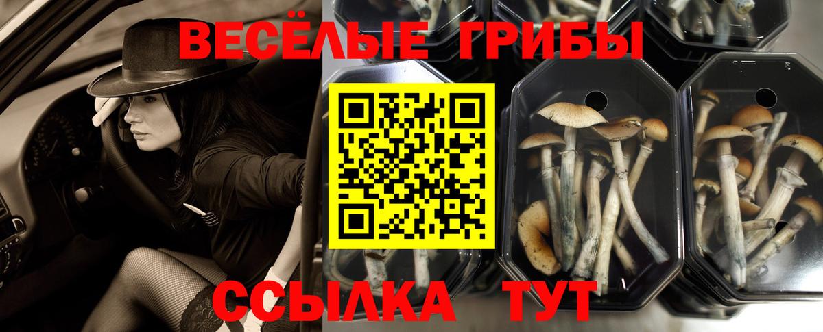 Галлюциногенные грибы мухоморы  Вход с VPN  как найти закладки  Ачхой-Мартан 